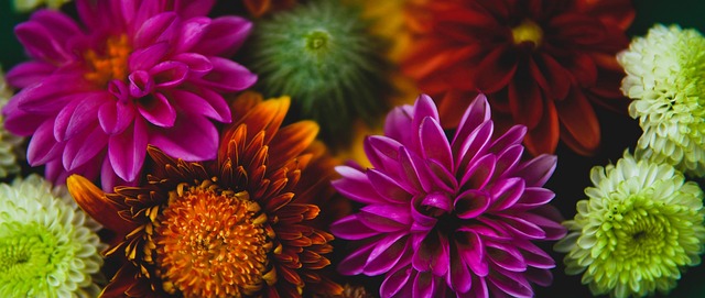 业体育队伍 业体育队伍