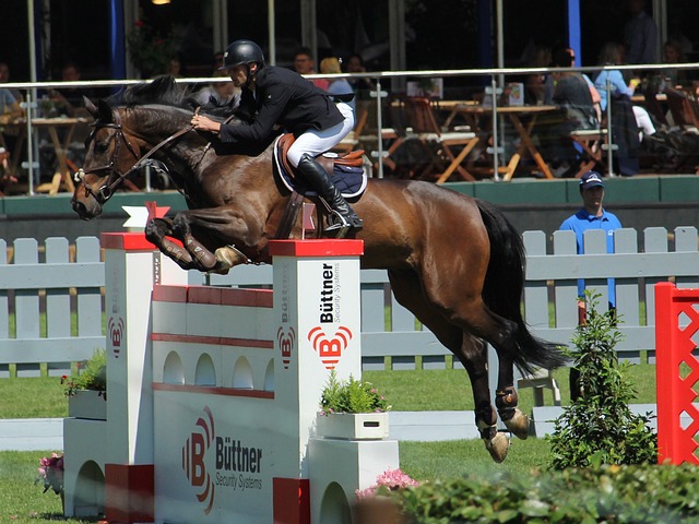 项重要改革 项重要改革