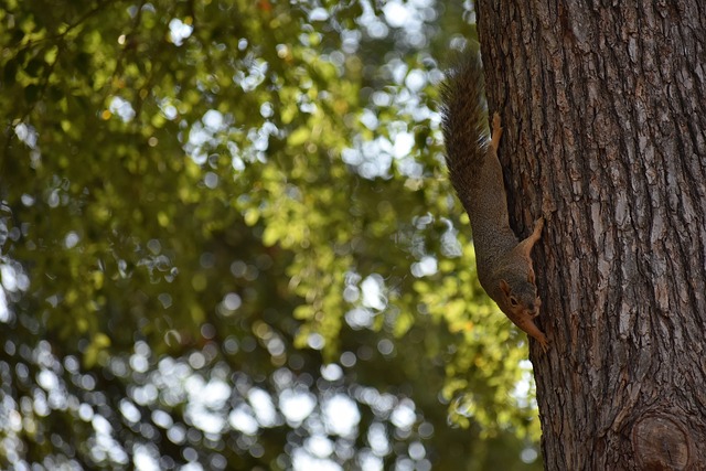 使我们更加 使我们更加