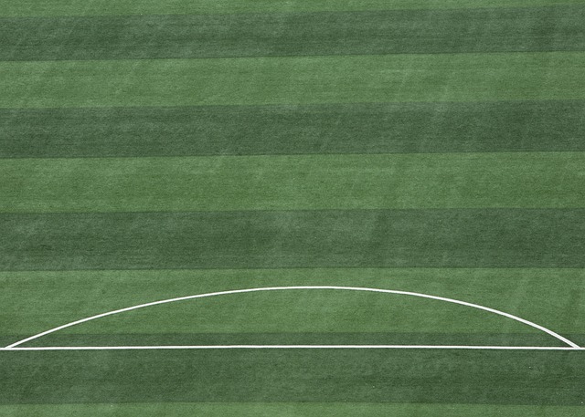 投手陣容的 投手陣容的