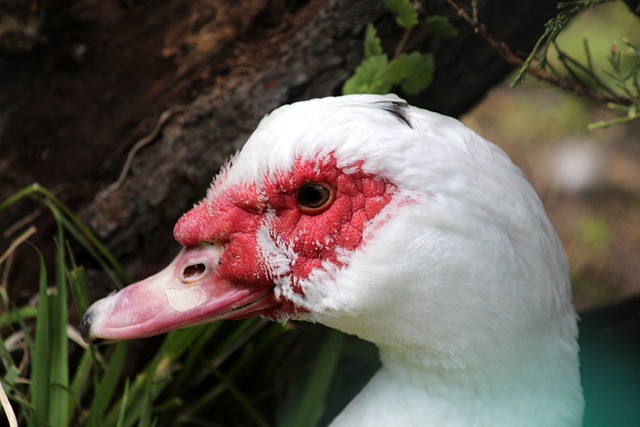 到不可撼动 到不可撼动