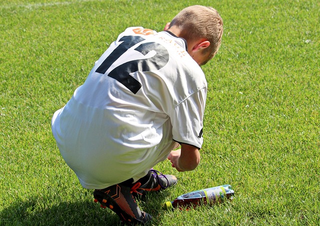 球队的主要 球队的主要