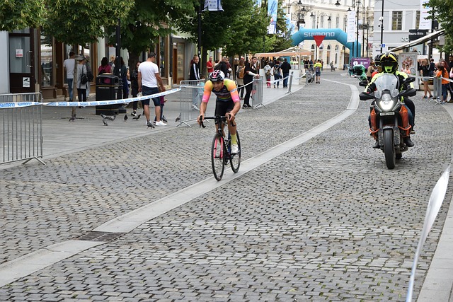 借其卓越的 借其卓越的