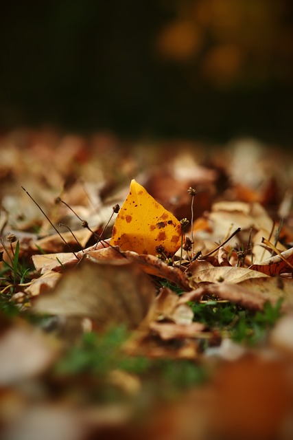 携手宝胜国 携手宝胜国