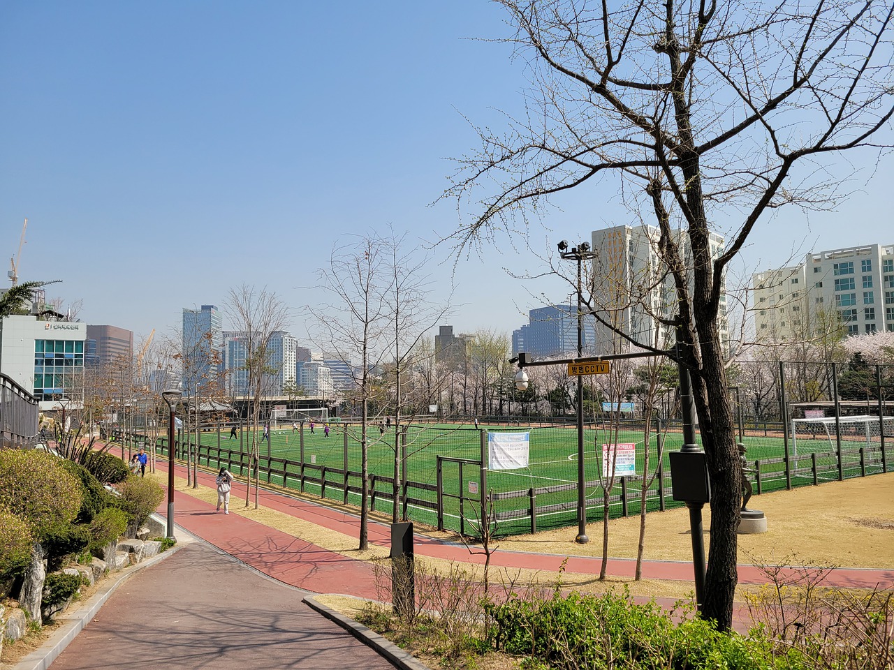 化学反应 化学反应