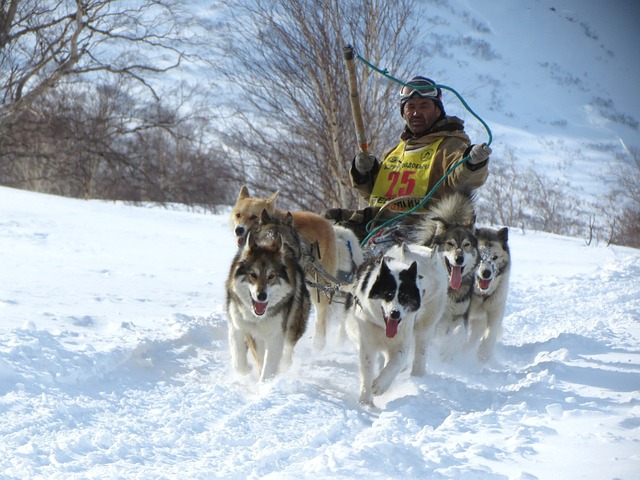 以曾经的乒